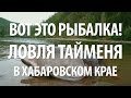 РЫБА ТАЙМЕНЬ на СПИННИНГ. ВОТ ЭТО РЫБАЛКА в ХАБАРОВСКОМ КРАЕ НА ТАЙМЕНЯ