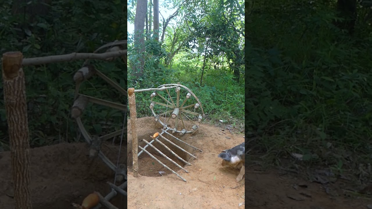 Quick Powerful Wild Pig Trap Make By Wood Fall in to Deep Hole  