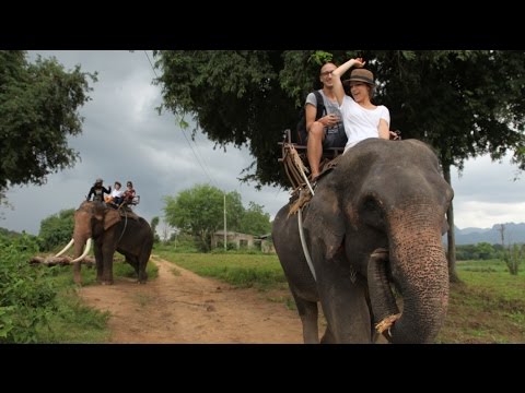 Video: Dormi Con Gli Elefanti Nelle Bolle Della Giungla Di Questo Resort Di Lusso In Thailandia