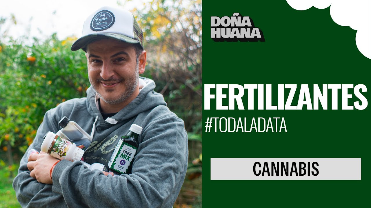 CANNABIS - FERTILIZANTES ORGÁNICOS VS FERTILIZANTES MINERALES