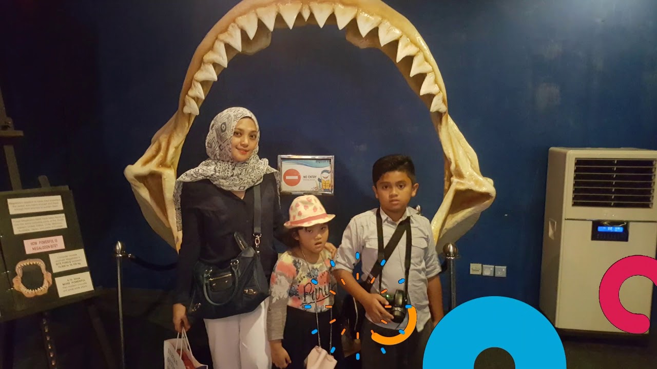 Our trip to Aquarium KLCC YouTube