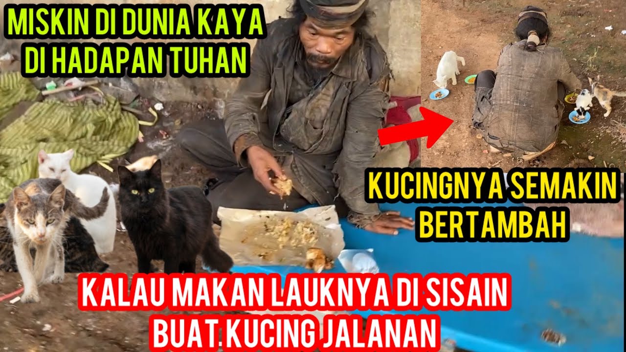 KISAH  PEMULUNG HIDUP KEKURANGAN TAPI MASIH PEDULI KUCING JALANAN..‼️