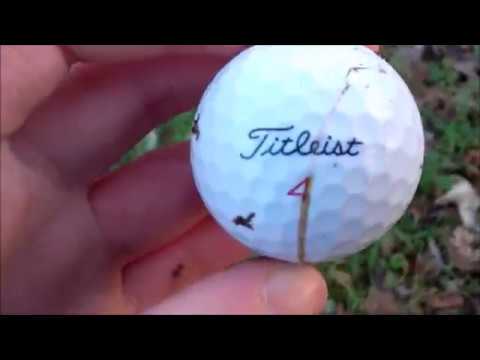 Video: Deze Labrador Retriever Kan Helpen Bij Het Vinden Van Verloren Golfballen