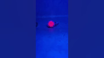 Which Gemstones will glow under UV Light?