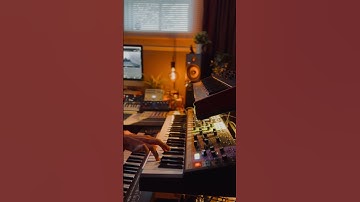 Round Robin mode Moog Matriarch #ambientmusic #dawless #moog #synthesizer #soundscape