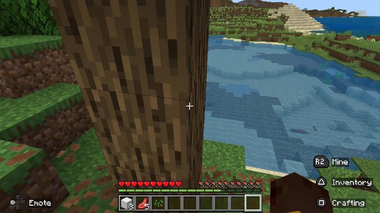 Minecraft in ps5