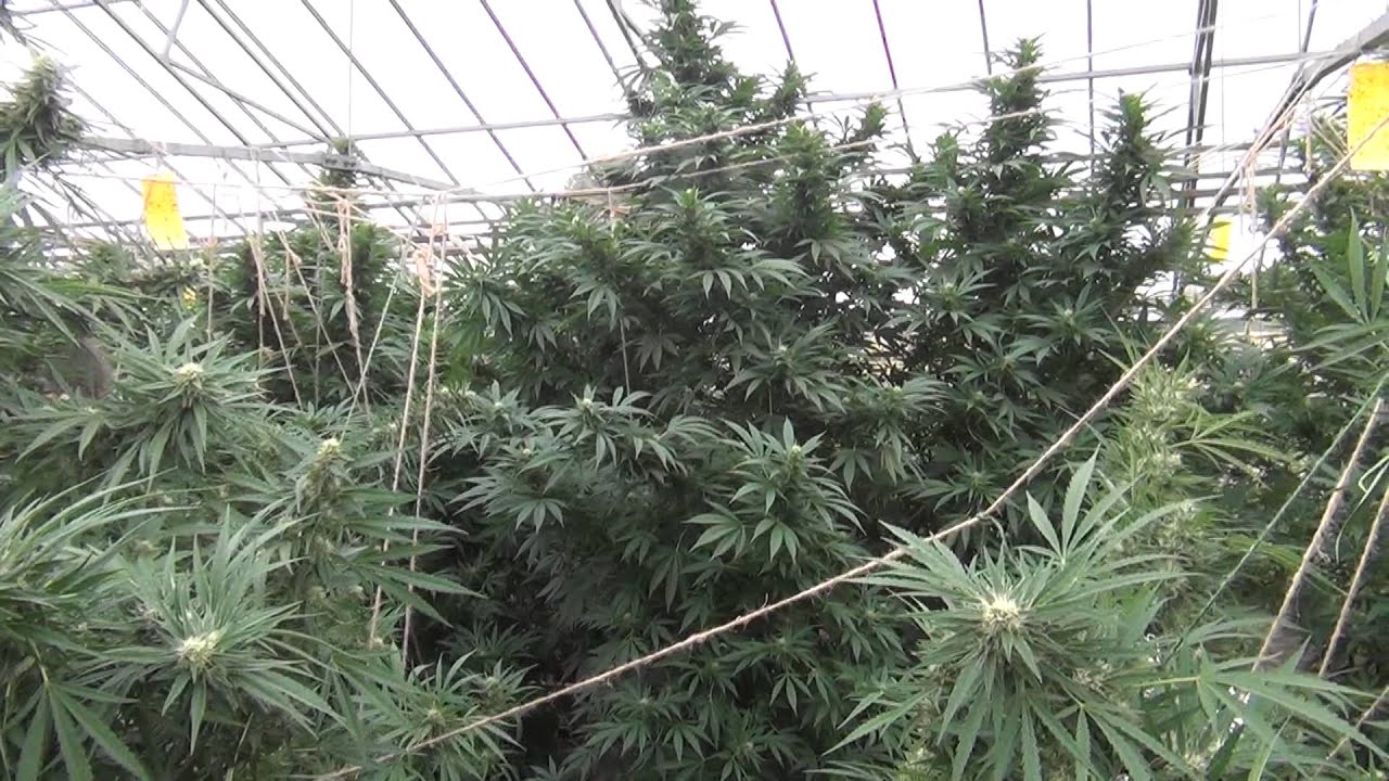 Niagara Seed Bank virtual tour Sep 26 2012 part2