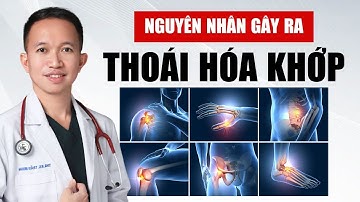 6 Nguyên Nhân Gây THOÁI HÓA KHỚP Không Nên Bỏ Qua | Bác Sĩ Trần Minh