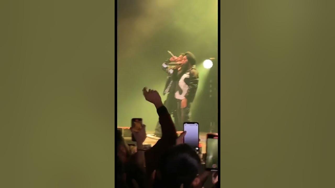AP Dhillon - Arrogant LIVE Concert In London UK