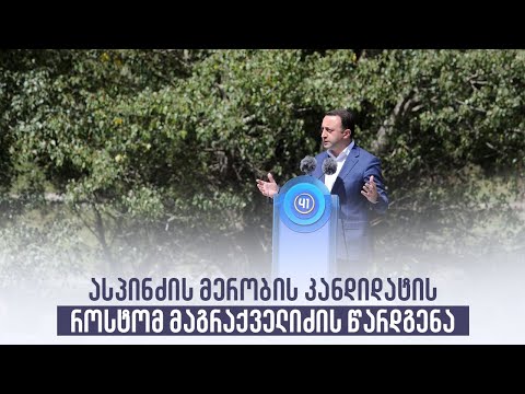 ასპინძის მერობის კანდიდატის როსტომ მაგრაქველიძის წარდგენა