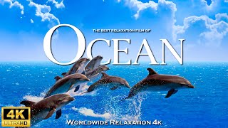 The Ocean (4K UltraHD) | Relaxation Film | Peaceful Relaxing Music | 4K Video UltraHD