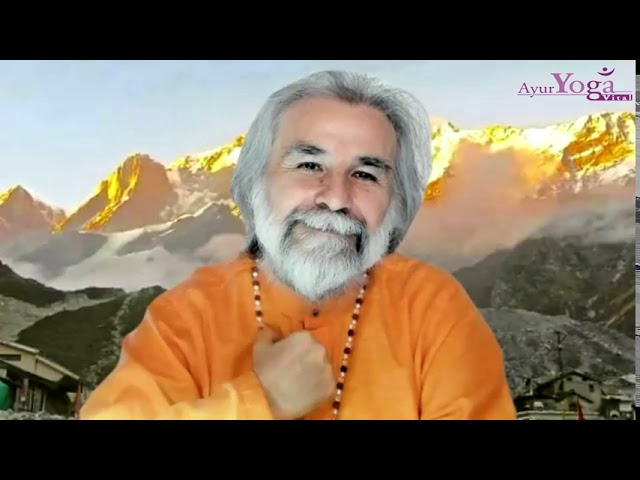 Tradición Yóguica – El legado vivo del Yoga Vital