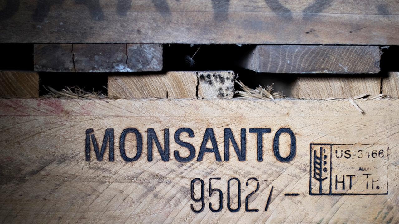 Monsanto Shares Rise as Takeover Negotiations Appear to Move Forward Monsanto Shares Rise as Takeover Negotiations Appear to Move Forward