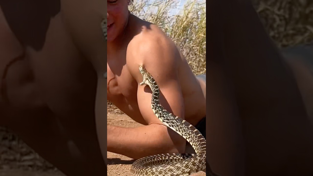 But by snake🫣🐍  