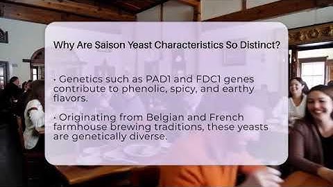 Why Are Saison Yeast Characteristics So Distinct? - The Pint Guy