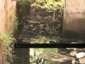 Corporation's 'clean Trivandrum' programme: First