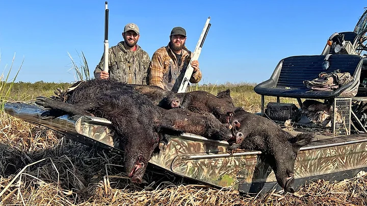 Fighting WILD HOG Invasions in Louisiana