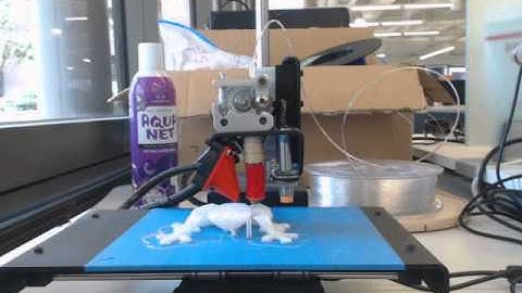 3D Printed Tree Frog using AstroPrint (Time Lapse)
