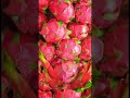 Dragon fruit#asmr #shorts #viral #trending #fruit #funny #satisfying