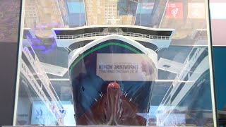 Color Hybrid named Ship of the Year 2019