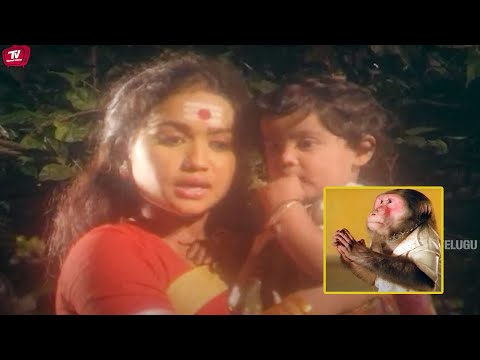 Baby Shalini Telugu Interesting Monkey Scene |  Telugu Videos