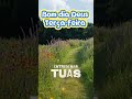 terça-feira de bênçãos #Deus #bomdia #deustemumapalavrapravoce #palavraqueedifica