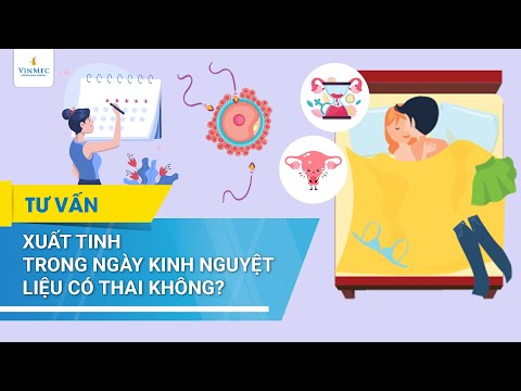 Video: Có Thể Mang Thai Ngay Sau Kỳ Kinh Nguyệt Không?