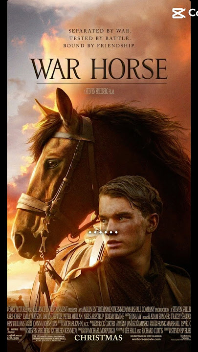 War horse ❤️❤️#warhorse