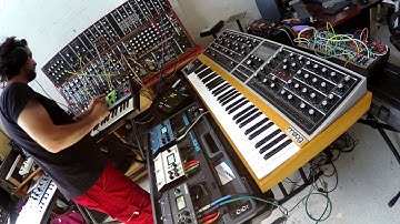 Moog One, Grandmother, System 55 and Digitakt - First tune