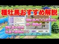 【ダビスタ switch 攻略 スイッチ】オルフェーヴルだけじゃない！配合の基礎！おすすめ種牡馬この馬たち！