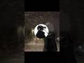 sad alami #shortvideo #lagusad