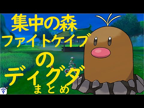 ソードシールド 集中の森 しゅうちゅうのもり のマップ 出現する野生のポケモン アイテムまとめ ポケモン剣盾 攻略大百科