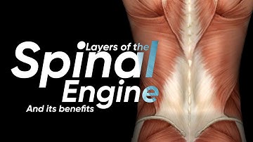 Layers of The Spinal Engine and the Benefit’s