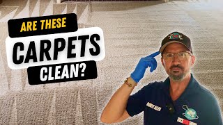 Are These Carpets Clean? Steam Clean or Dry Cleaning Carpets?