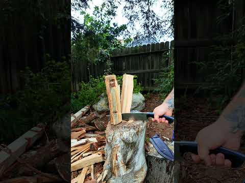 WORKTUFFGEAR  MADDOG,  full review coming soon!!