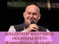 Калины куст, исполняет Владимир Колганов. Новосибирск #песни