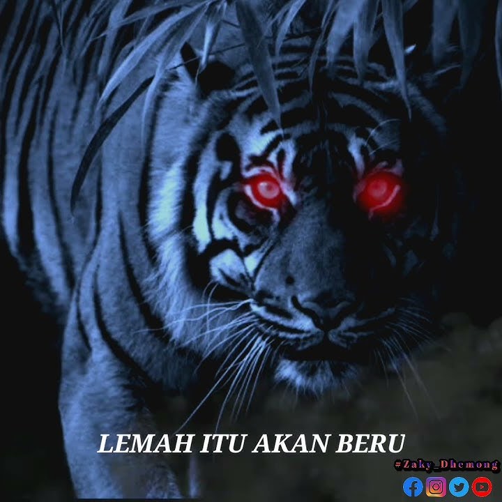 story' wa kekinian | macan putih | kidung Wahyu koselobo
