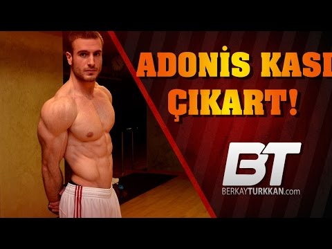 Adonis Kası Nasıl Yapılır | Mutlaka Bilmeniz Gerekenler