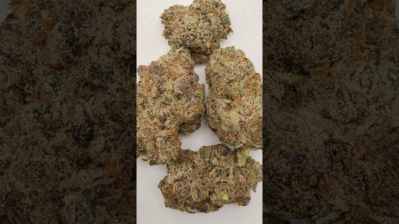 🔥Face Off OG🔥 Cannabis strain review/W Dr. Greenbody