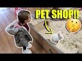 GETTING A PET WHILST MUMS AWAY?!