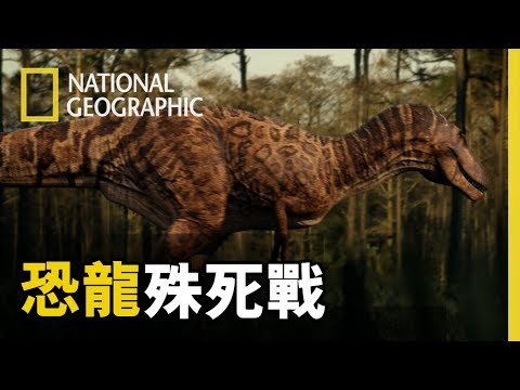 「侏儸紀公園3你看了嗎！小編以為最殘暴的恐龍可能就是暴龍、迅猛龍之類，但....或許事情不像我們想的那樣!?」【恐龍殊死戰】短片菁華板