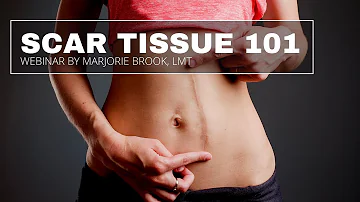 Scar Tissue 101 | How Scar Tissue Impacts the Body