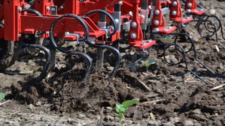 4th Annual Midwest Mechanical Weed Control Field Day – Episode 3: The First Encounter