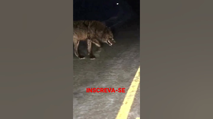 LOBO GIGANTE APARECE NA NOITE. #shorts #lobo #sinistro