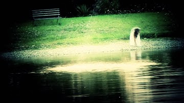 The Delay In The Universal Loop - Spasmodica (Official Video)