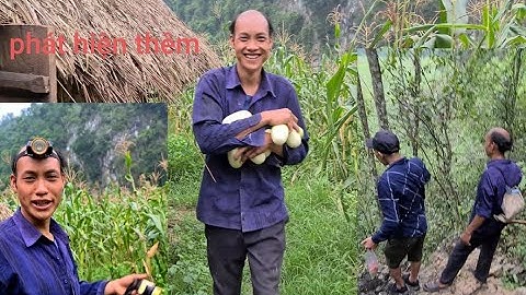 Bí ẩn về hang Vàng trên thung lũng 17. Nguyễn Tất Thắng