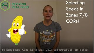 Selecting Seeds - Corn - North Texas - 2022 Feed Yourself 365 - Ep 18 of 365