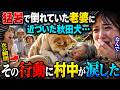猛暑で倒れていた老婆に近づいた秋田犬…次の瞬間、その行動に村中が涙した