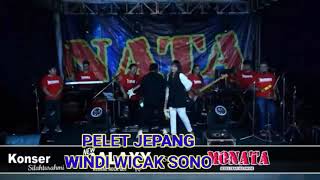 PELET JEPANG-IKI LO MONATA