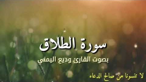 سورة الطلاق بصوت القارئ وديع اليمني